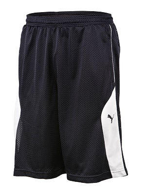 Puma Mesh Shorts