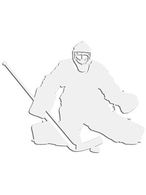 Pro Guard Hockey Car Decals