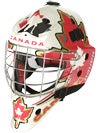 Bauer NME 7 Painted Goalie Masks Sr