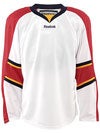 Florida Panthers Reebok Edge Uncrested Jerseys Jr