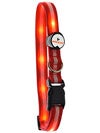Nite Beam LED Pet Collars