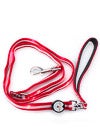 Nite Beams LED Pet Leashes