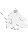 Pro Guard Hockey Car Decals