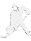 Pro Guard Hockey Car Decals