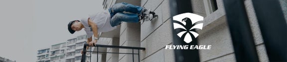 Flying Eagle