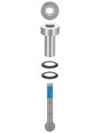 Graf Cobra 3.0 Runner Anchor Bolts - Senior