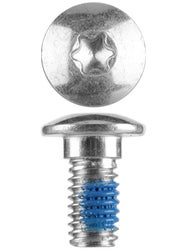 Powerslide Frame Mounting Bolt Screw Torx M6 L13.5mm