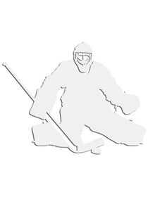 Proguard Hockey Car Decals