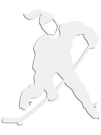 Proguard Hockey Car Decals