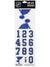 St. Louis Blues White