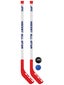 A&R Youth All-Star Hockey Stick Set