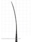 Warrior AK27 DD Composite Hockey Blades Junior