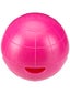 Proguard OdorBall Deodorizer
