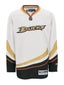Anaheim Ducks Reebok NHL Replica Jerseys Sr 2013