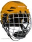 Easton E400 Hockey Helmets w/Cage Sm