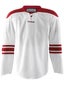 Arizona Coyotes Reebok Edge Uncrested Jerseys 