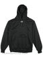Under Armour Fleece Team Hoodie Sweatshirt