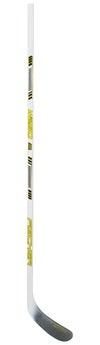 Fischer W250 Wood ABS Hockey Stick  2024
